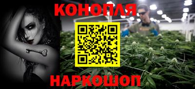 сатива Заволжье