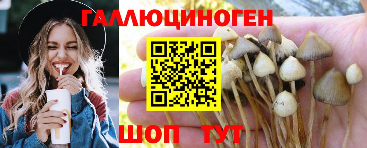 Псилоцибиновые грибы ЛСД Знаменск